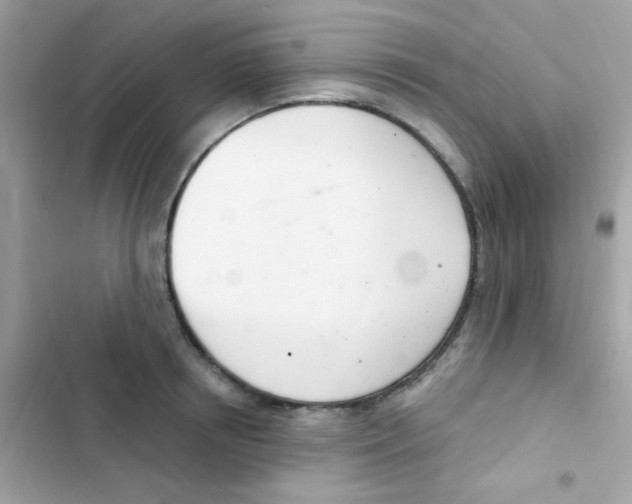 X0000103170850200809192115