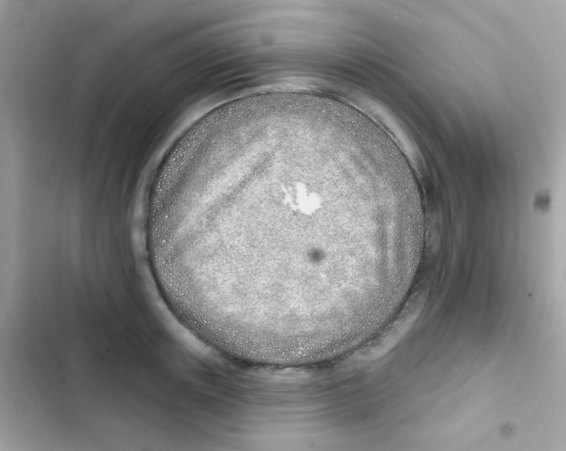 X0000103170851200809192115