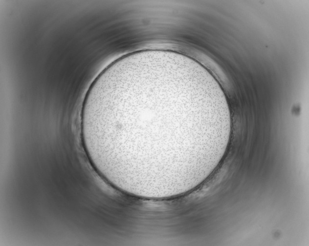 X0000103170852200809192115