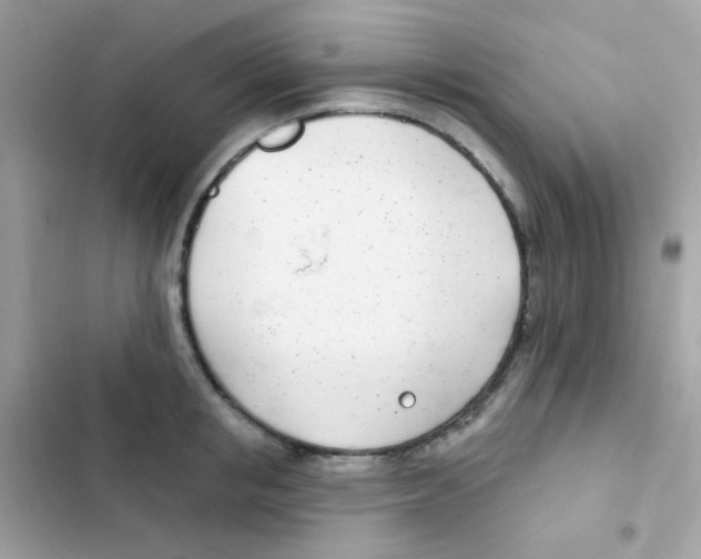 X0000103170853200809192115