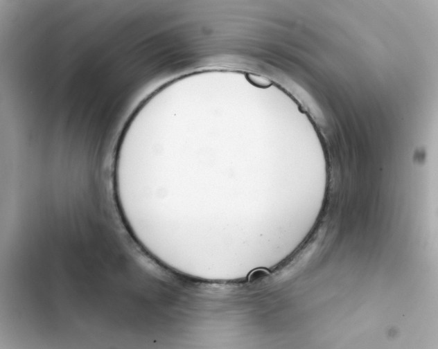 X0000103170854200809192115