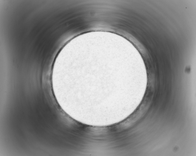 X0000103170856200809192115