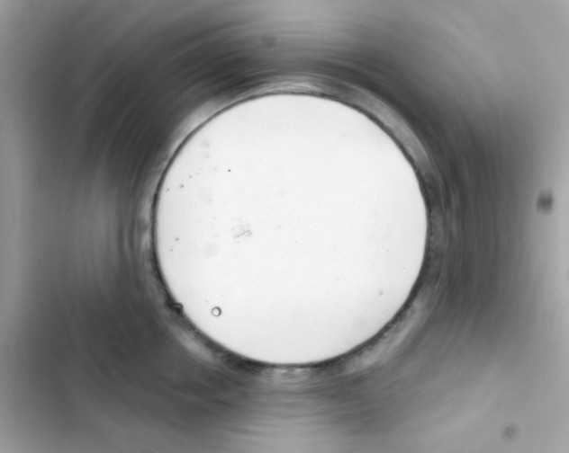 X0000103170858200809192115