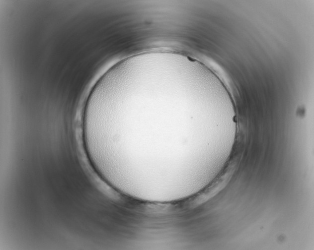 X0000103170859200809192115