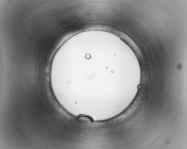 X0000103170860200809192115