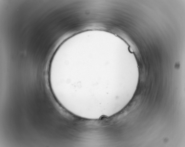 X0000103170861200809192115