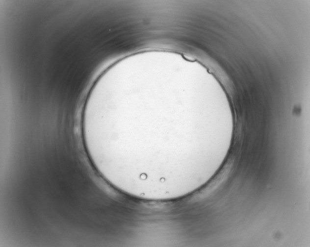 X0000103170862200809192115