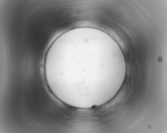 X0000103170863200809192115