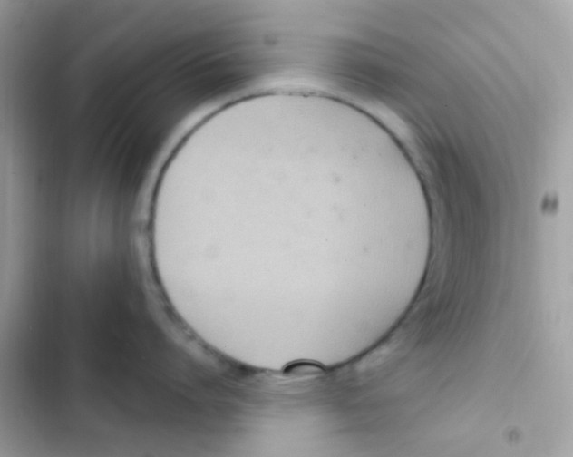 X0000103170864200809192115