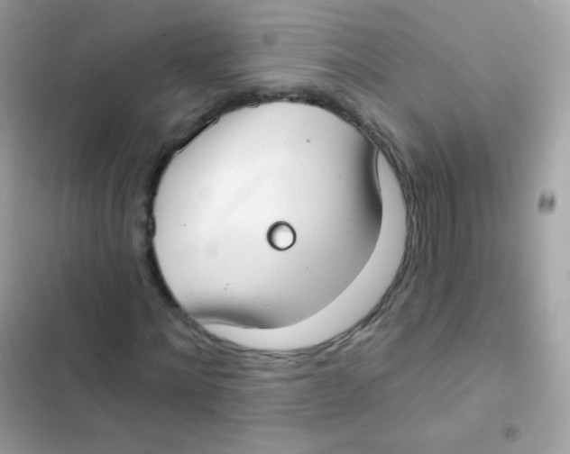 X0000103170868200809192114