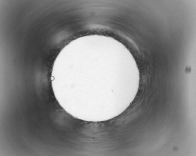 X0000103170869200809192114