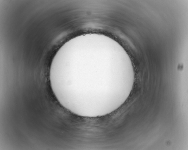 X0000103170870200809192114