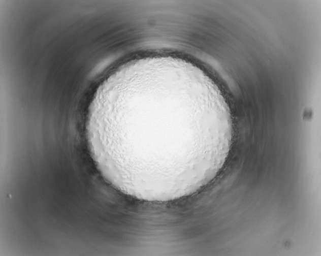 X0000103170871200809192114