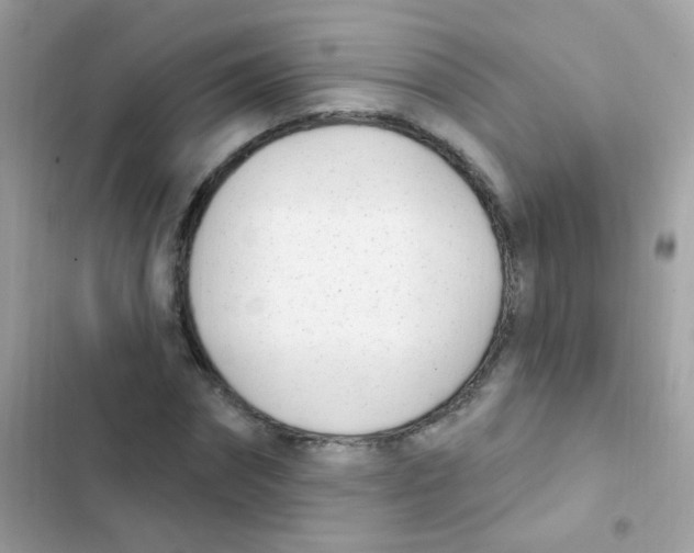 X0000103170874200809192114