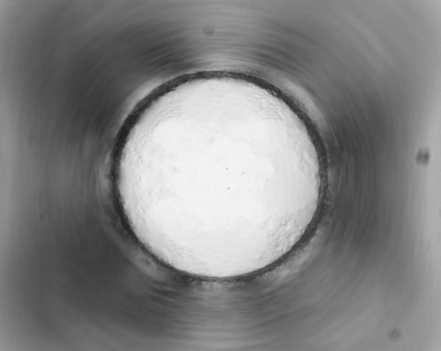 X0000103170875200809192114