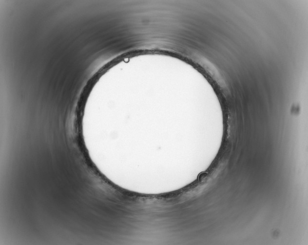 X0000103170876200809192114