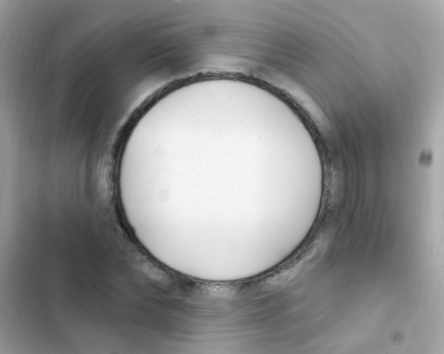 X0000103170878200809192114