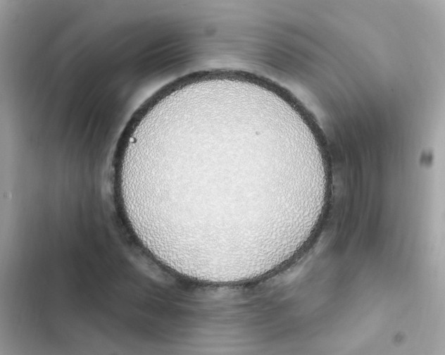 X0000103170879200809192114