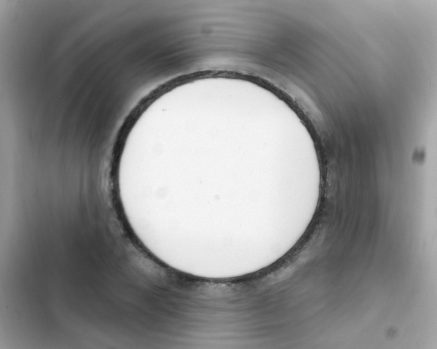 X0000103170880200809192114