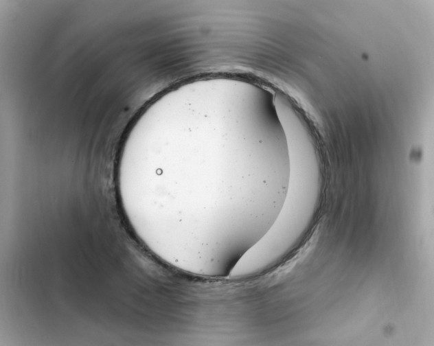 X0000103170881200809192114