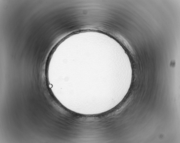 X0000103170884200809192114