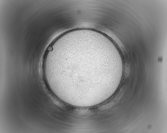 X0000103170886200809192114