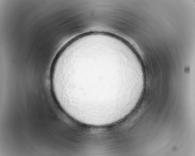 X0000103170887200809192114