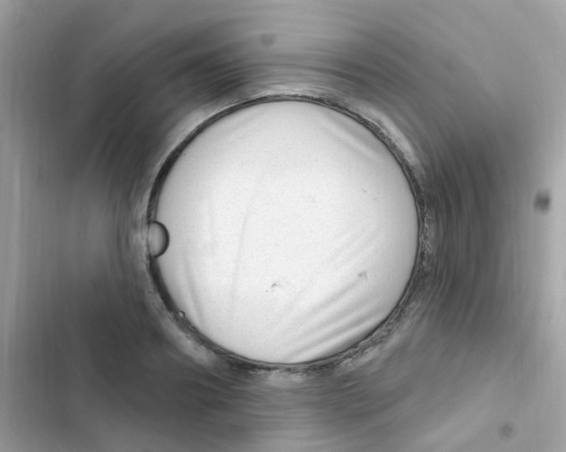 X0000103170890200809192114