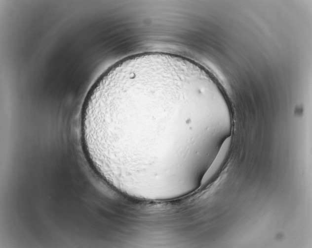 X0000103170891200809192114