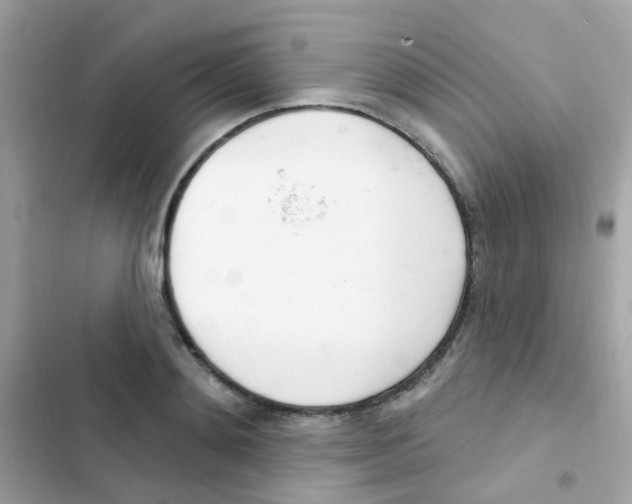 X0000103170892200809192114