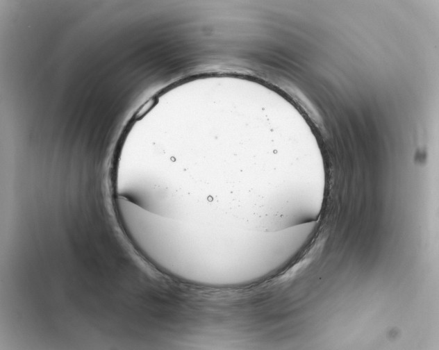 X0000103170893200809192114