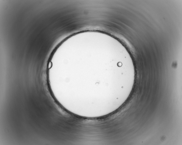 X0000103170894200809192114