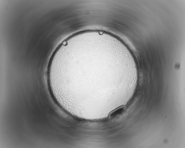 X0000103170895200809192114