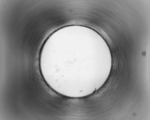 X0000103170896200809192114