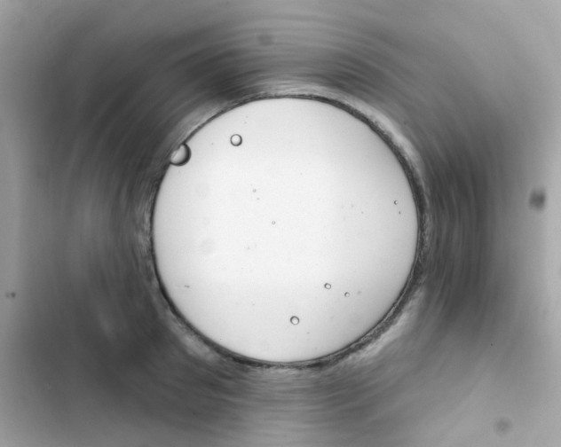 X0000103170897200809192114