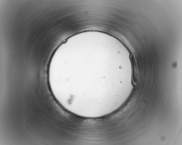 X0000103170898200809192114