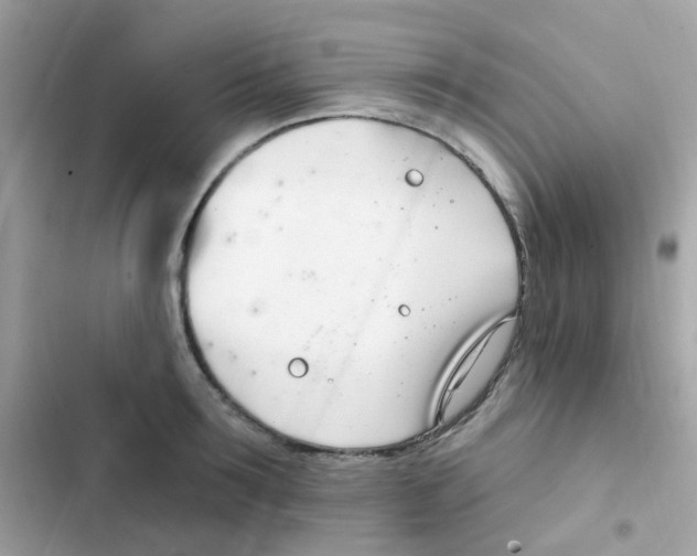 X0000103170899200809192114