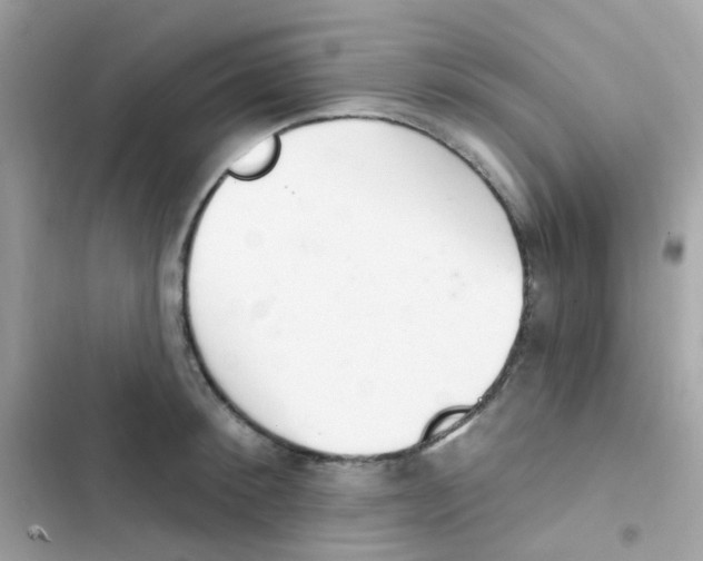 X0000103170900200809192114