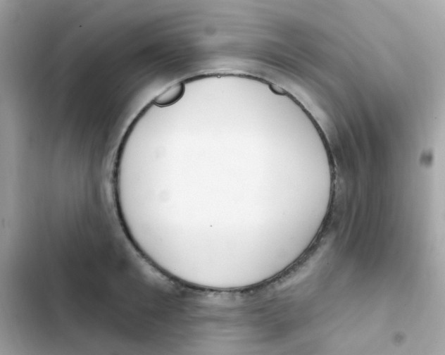 X0000103170901200809192114