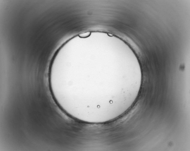 X0000103170902200809192114