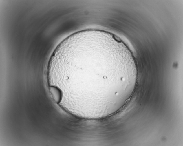 X0000103170903200809192114