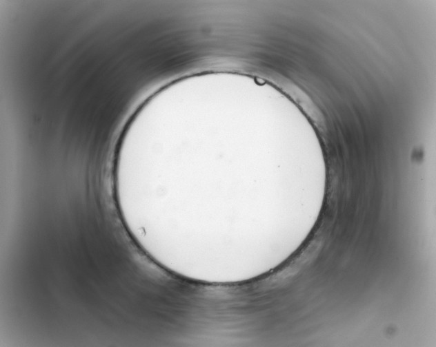 X0000103170904200809192114