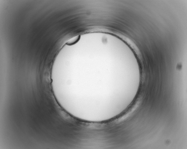 X0000103170905200809192114