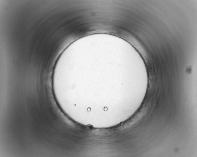 X0000103170906200809192114