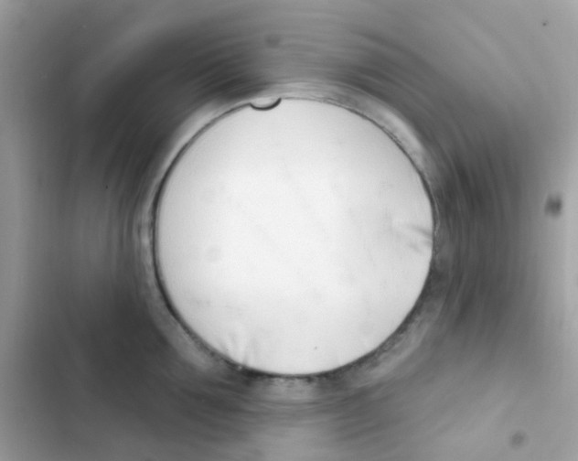 X0000103170907200809192114