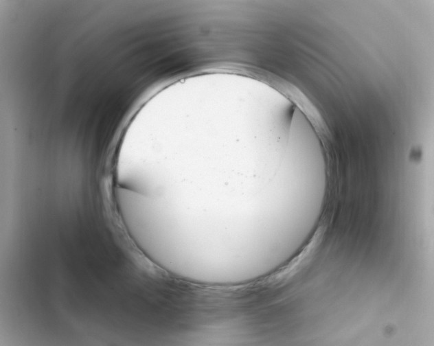 X0000103170908200809192114