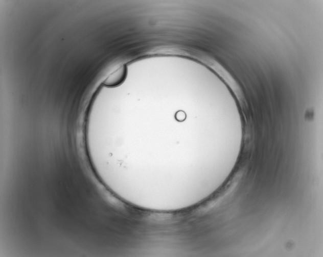 X0000103170909200809192114