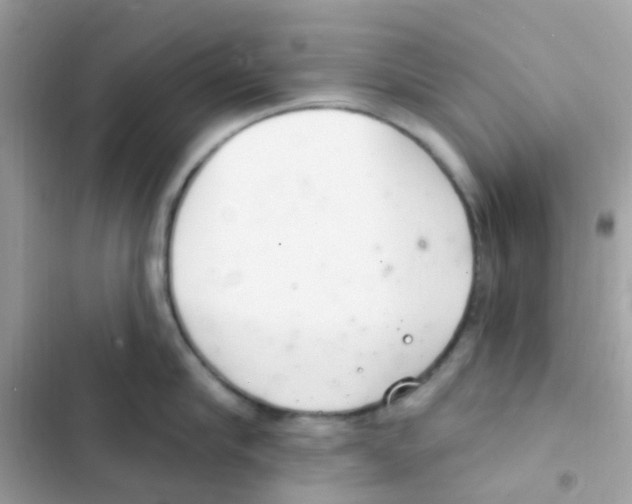 X0000103170910200809192114