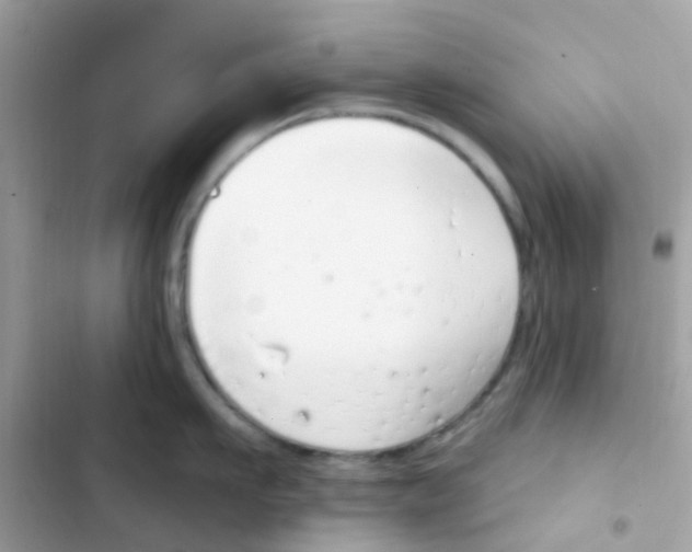 X0000103170911200809192114