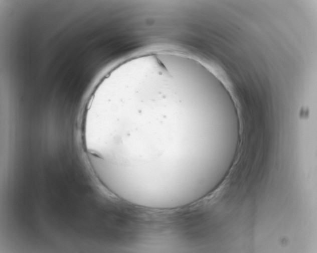 X0000103170912200809192114